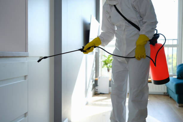 Best DIY Mold Remediation Support Services in Newcastle, WY
