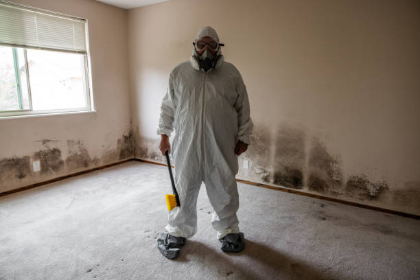 Best Emergency Mold Remediation in Newcastle, WY